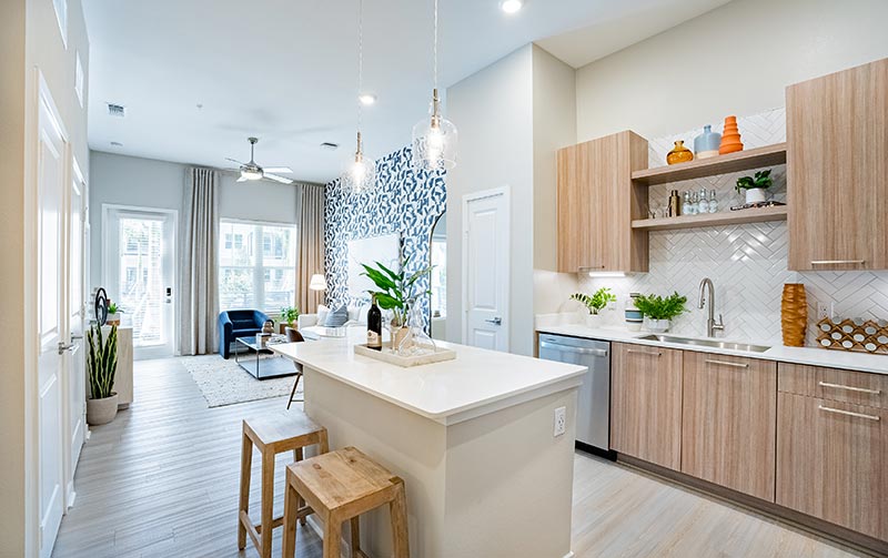 apartment kitchen & living room